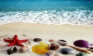 ۵ اکسسوری‌ ارزان برای گذارندن یک روز کامل در ساحل