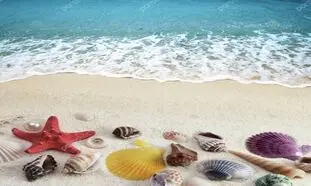 ۵ اکسسوری‌ ارزان برای گذارندن یک روز کامل در ساحل