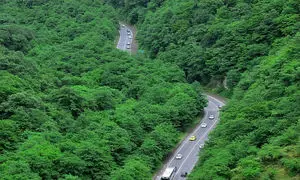 5 جاذبه گردشگری گردنه حیران برای رهایی از گرمای تابستان