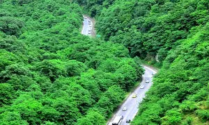 5 جاذبه گردشگری گردنه حیران برای رهایی از گرمای تابستان