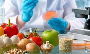 5 شرکت صنایع غذایی که در مردادماه استخدام دارند + میانگین حقوق