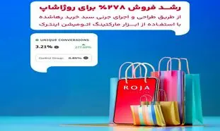 روژاشاپ چگونه به رشد فروش 287 درصدی رسید