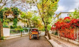 جاذبه های گردشگری کمتر شناخته شده در تور ترکیه