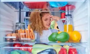 دلایل و روش های برطرف کردن بوی بد یخچال و فریزر ال جی