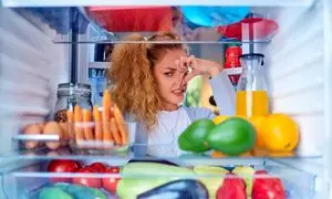 دلایل و روش های برطرف کردن بوی بد یخچال و فریزر ال جی