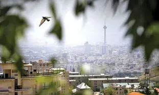 پیاده روی در این ساعت‌ ها ممنوع شد