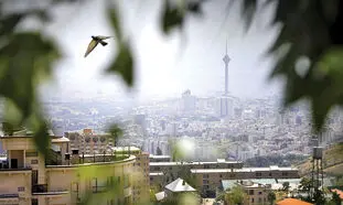 پیاده روی در این ساعت‌ ها ممنوع شد