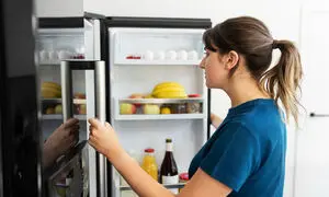 یخچال فریزر دوو بخریم یا ایکس ویژن؟