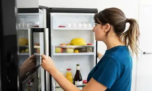 یخچال فریزر دوو بخریم یا ایکس ویژن؟