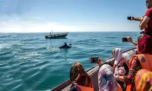 هیجان ‌انگیزترین تفریحات دریایی در تور قشم