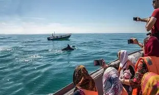 هیجان ‌انگیزترین تفریحات دریایی در تور قشم