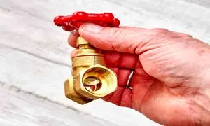 با انواع شیر سوزنی آشنا شوید