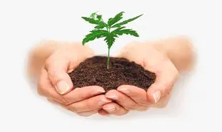 بیمه زندگی خاورمیانه، نخستین شرکت بیمه تخصصی زندگی کشور