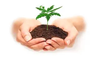 بیمه زندگی خاورمیانه، نخستین شرکت بیمه تخصصی زندگی کشور