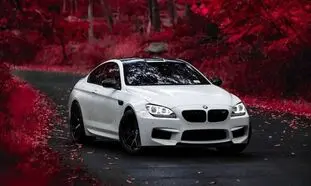 آغاز ثبت نام خودروهای BMW و mini ویژه جانبازان