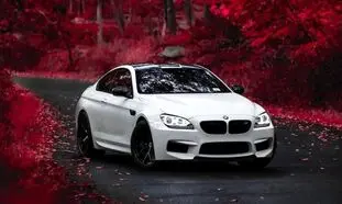 آغاز ثبت نام خودروهای BMW و mini ویژه جانبازان