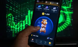 ۸ روش کسب درآمد از همستر 