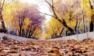 امسال به پاییز خنک و پر بارش دل خوش نکنید