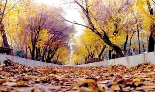 امسال به پاییز خنک و پر بارش دل خوش نکنید
