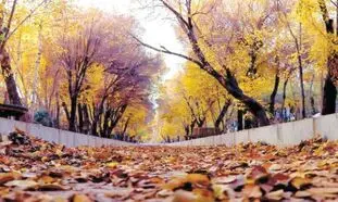 امسال به پاییز خنک و پر بارش دل خوش نکنید