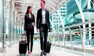 با محبوب‌ ترین تورهای نمایشگاهی آشنا شوید