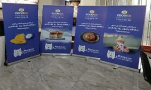 هر آنچه باید از سفارش چاپ استند رول آپ بدانیم