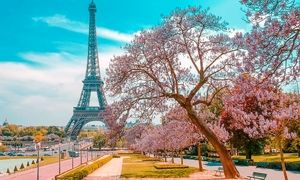 سفری اقتصادی به فرانسه با تور ارزان فرانسه