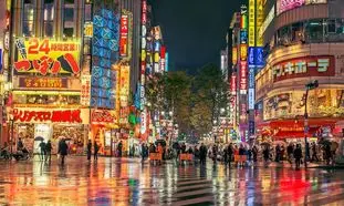 سفر به توکیو؛ شهری که هرگز نمی‌ خوابد