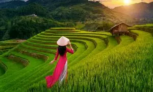 همه چیز درباره تورهای لوکس چین ، ژاپن و ویتنام + قیمت