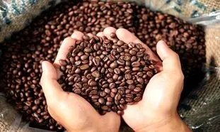 خرید قهوه کیلویی چه مزایایی دارد؟