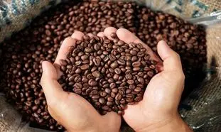 خرید قهوه کیلویی چه مزایایی دارد؟