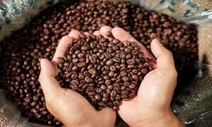 خرید قهوه کیلویی چه مزایایی دارد؟
