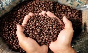 خرید قهوه کیلویی چه مزایایی دارد؟