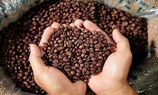 خرید قهوه کیلویی چه مزایایی دارد؟