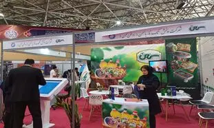 توجه به نخبه گرایی در مجموعه پخش تک ناز یاسمن