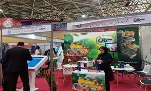 توجه به نخبه گرایی در مجموعه پخش تک ناز یاسمن