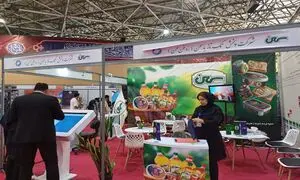 توجه به نخبه گرایی در مجموعه پخش تک ناز یاسمن