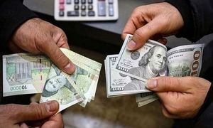 روایت متفاوت آرش کریم بیگی به افزایش لحظه‌ای قیمت دلار
