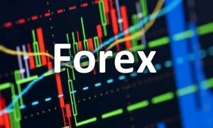 آشنایی با اصطلاحات رایج در بازار فارکس
