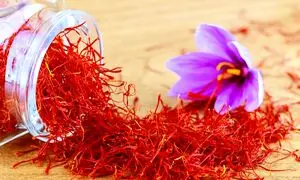 حضور زعفران نوین در نمایشگاه گلفود منیوفکچر دبی