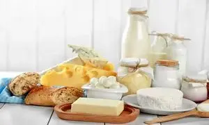 عملکرد شرکت های لبنی از لحاظ سودآوری؛ عالیس در صدر