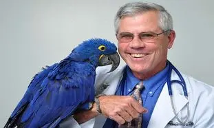 کلینیک های دامپزشکی پرندگان در شیراز کدامند؟