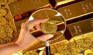 دیجی کالا سرویس جدید طلای دیجیتال را معرفی کرد