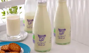 پگاه اصفهان در صدر فروش محصولات لبنی