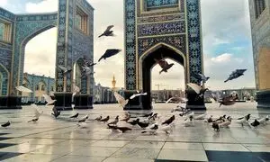 راهنمای کامل تور مشهد