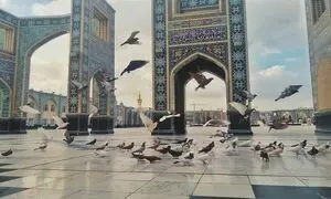 راهنمای کامل تور مشهد