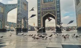 راهنمای کامل تور مشهد