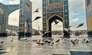 راهنمای کامل تور مشهد
