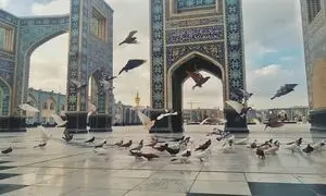راهنمای کامل تور مشهد