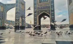 راهنمای کامل تور مشهد